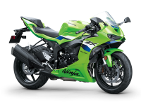 Anteprima NINJA ZX-6R